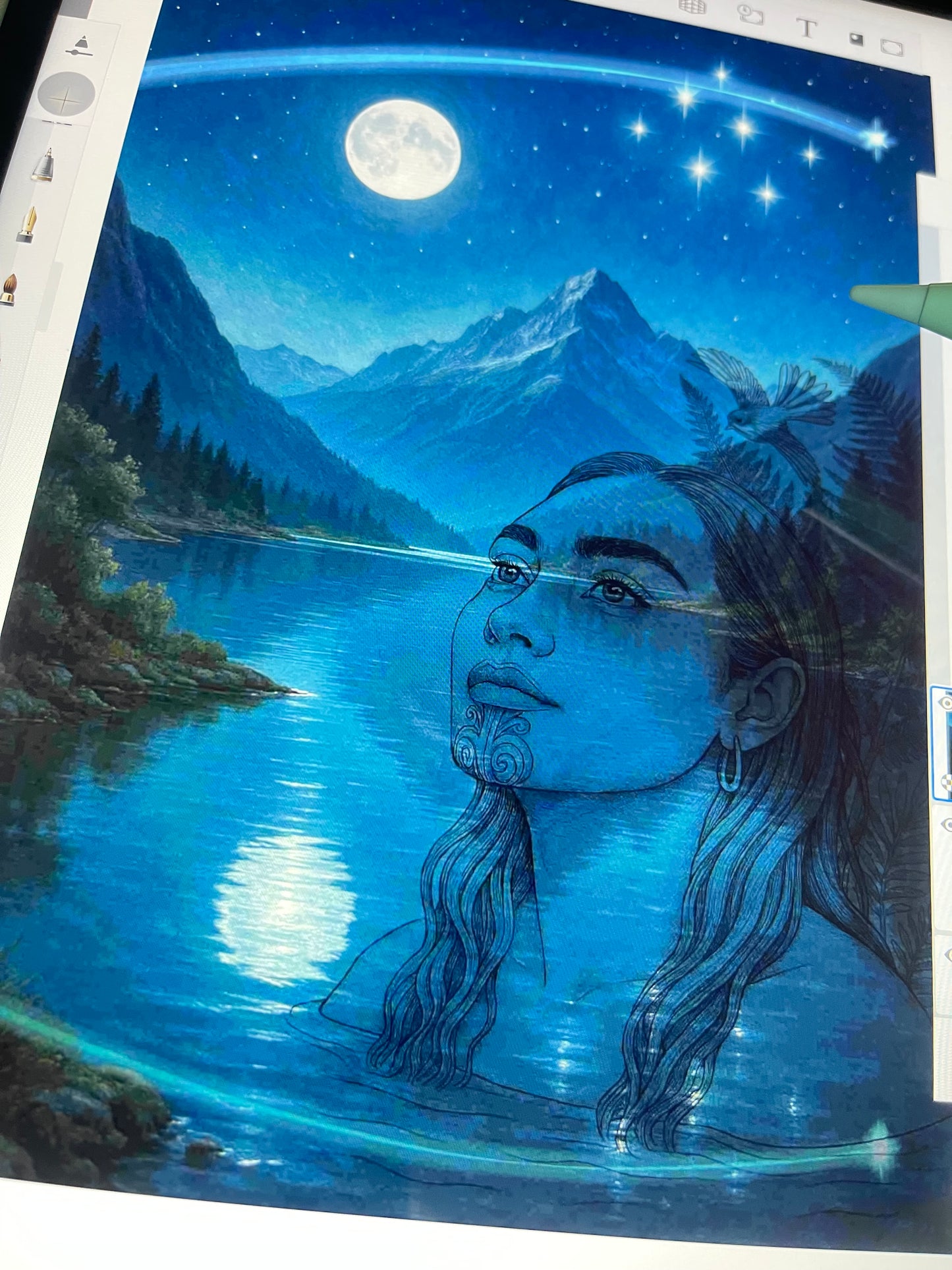 Wairoa O Te Marama Fine Art Print